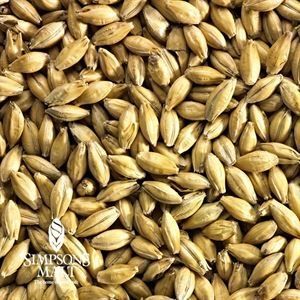 A close up of a pile of barley grains