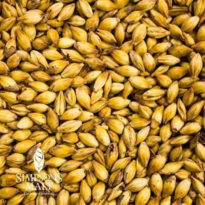 A close up of a pile of malt grains.