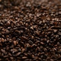 A close up of a pile of coffee beans.