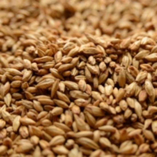 A close up of a pile of wheat grains