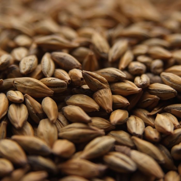 A close up of a pile of brown grains