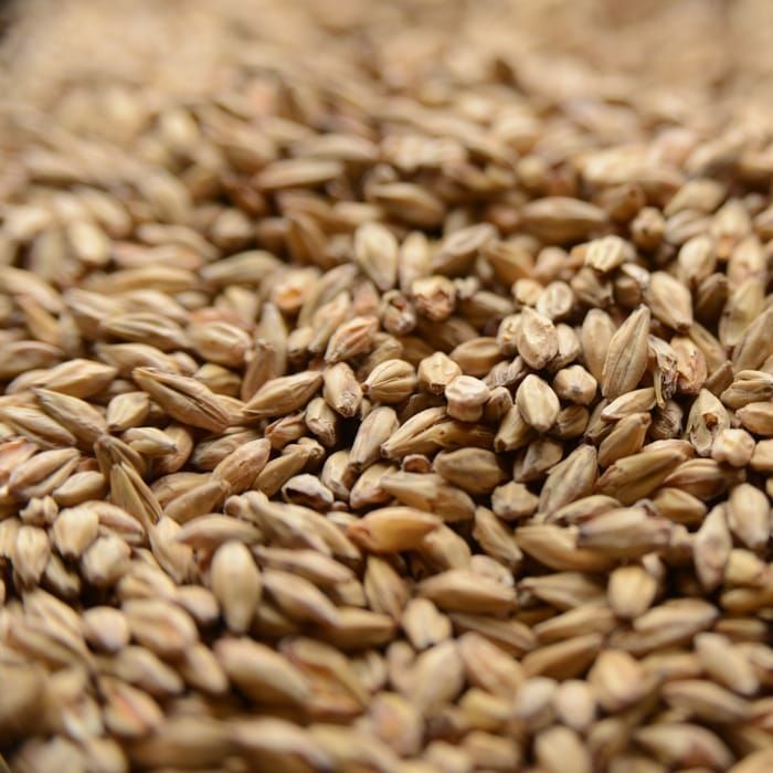 A close up of a pile of wheat grains.
