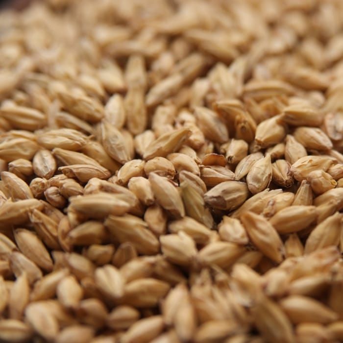 A close up of a pile of wheat grains