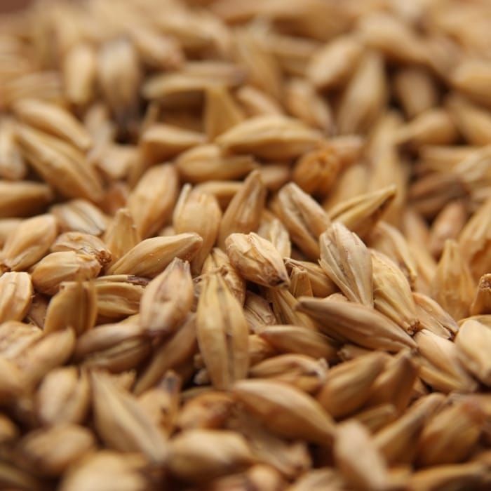 A close up of a pile of wheat grains