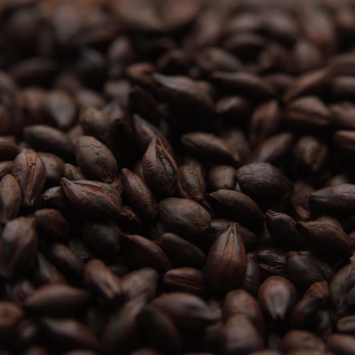 A close up of a pile of brown grains.