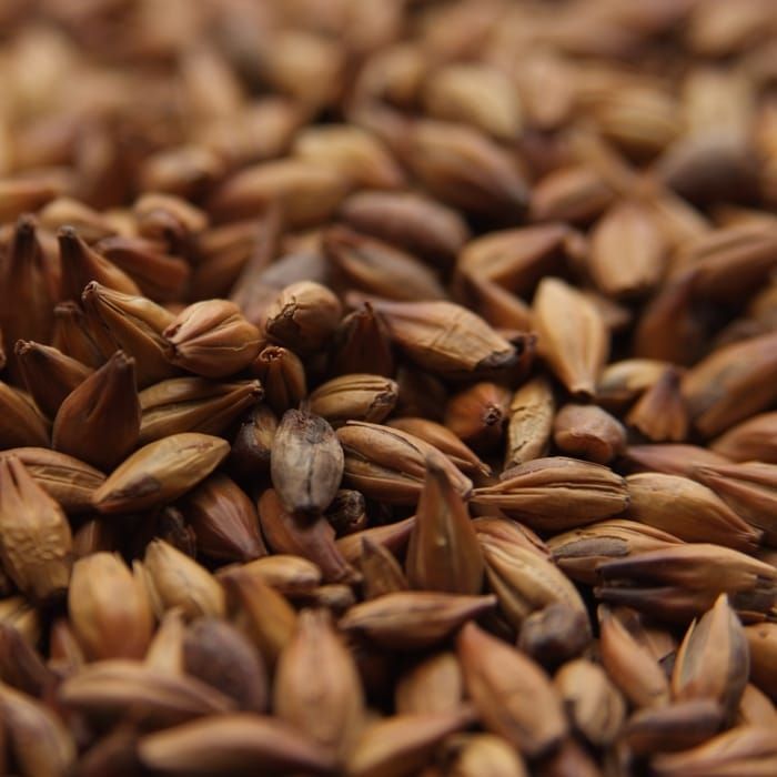 A close up of a pile of brown grains