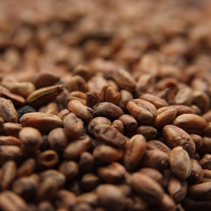 A close up of a pile of brown beans
