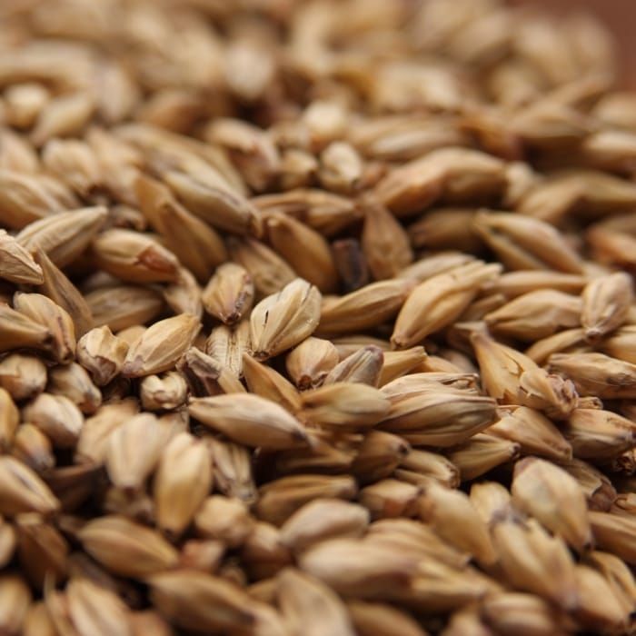 A close up of a pile of wheat grains