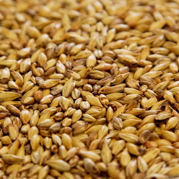 A close up of a pile of wheat grains