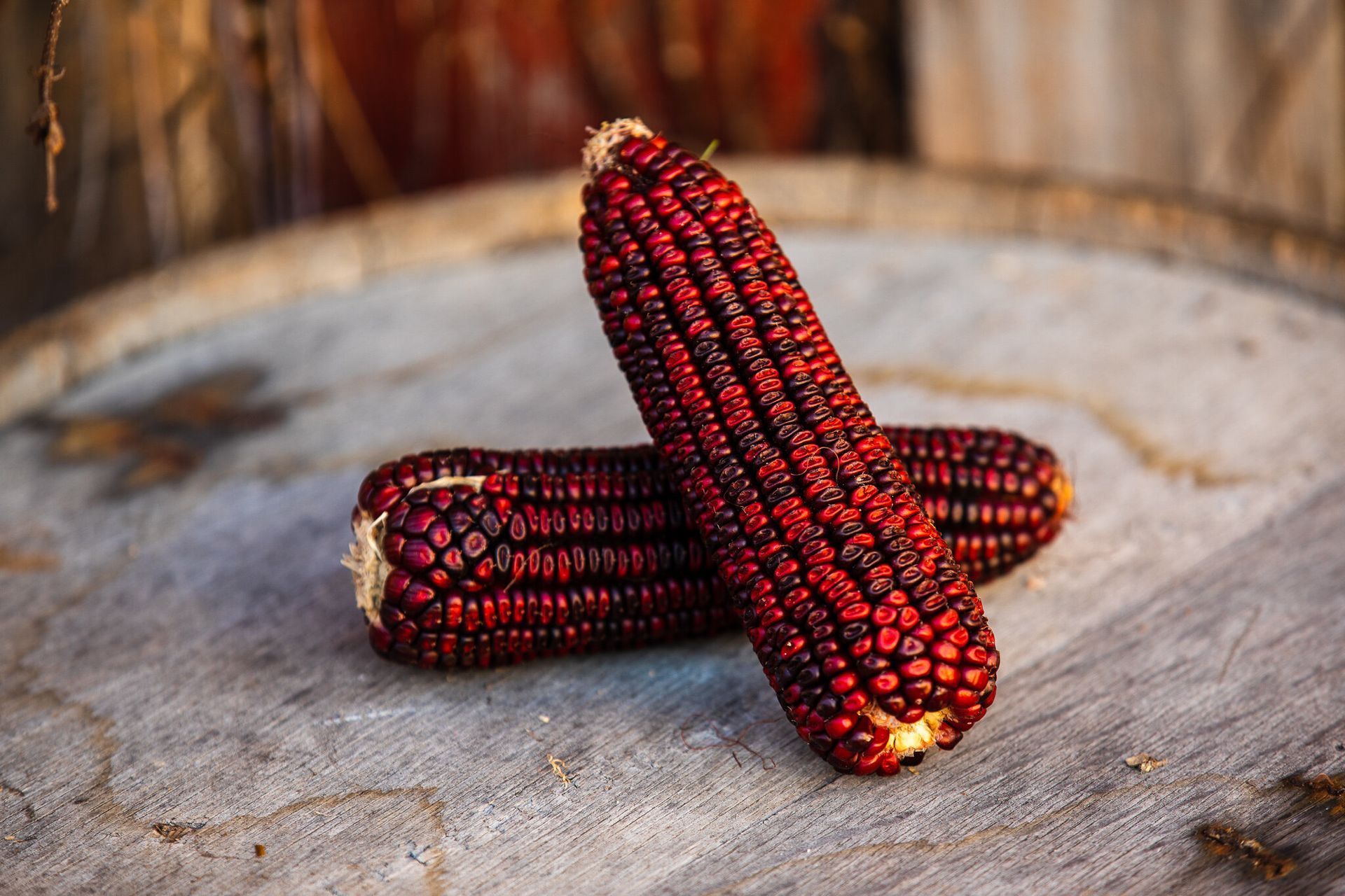 Two red corn on the cob are sitting on top of a wooden table.