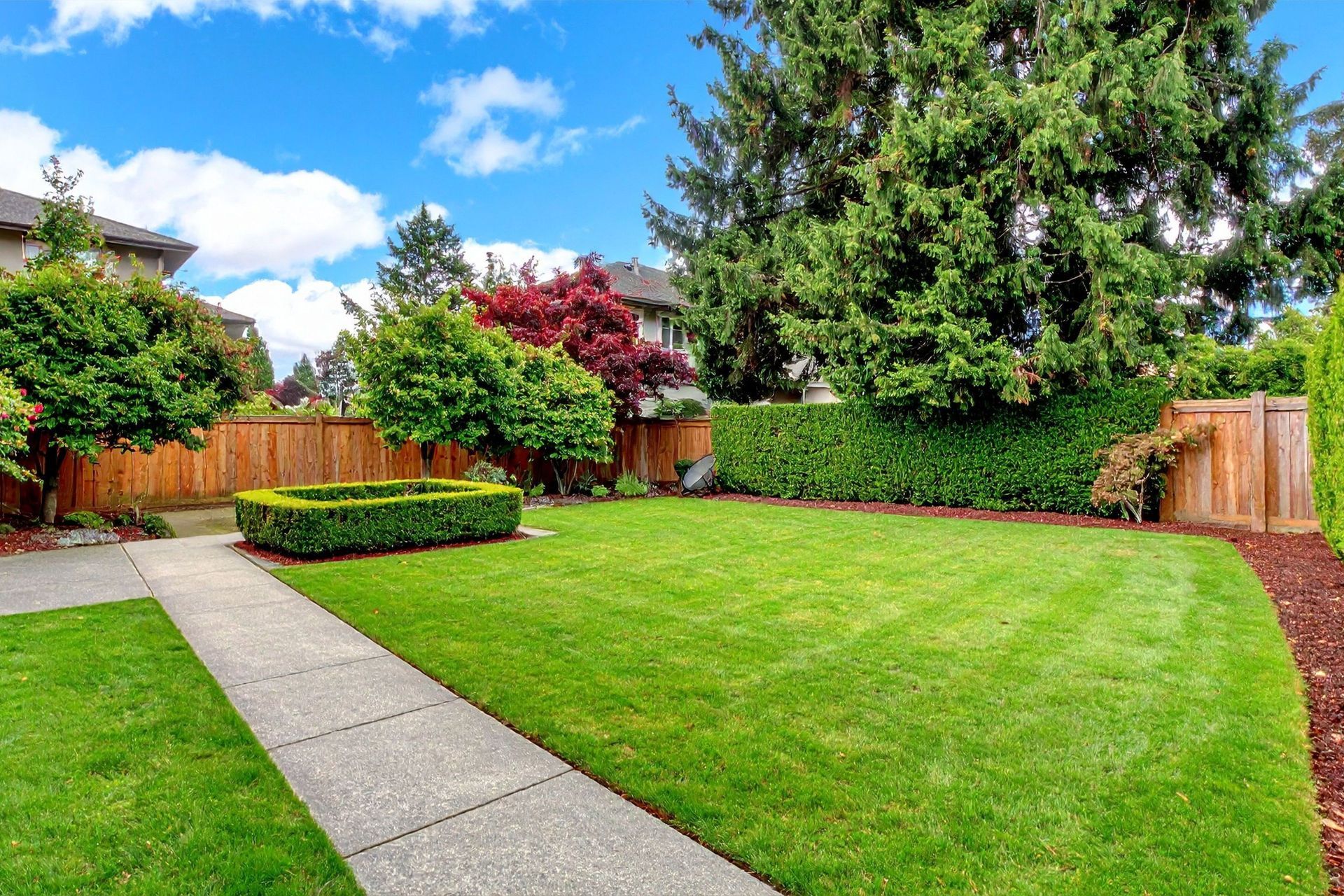 Well-kept green lawn with concrete path, wooden fence, and tall trees in a suburban backyard