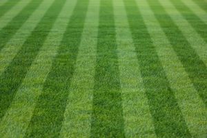 Freshly mowed green lawn with striped grass pattern