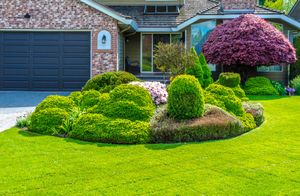 Front yard with manicured green shrubs, a purple flowering bush, and a house with a garage