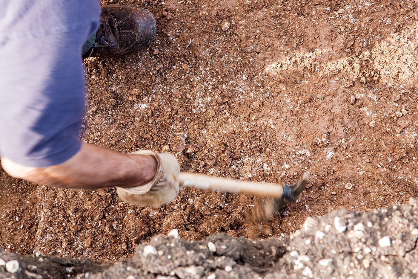 Swinhope Excavation 2023