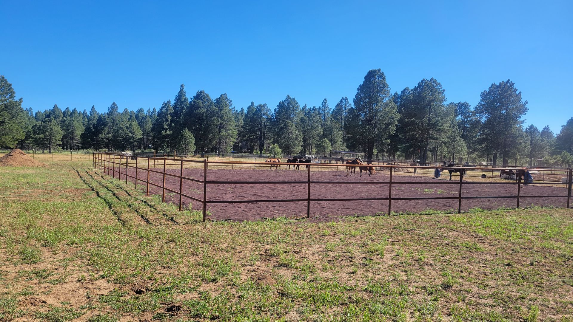 Gravel path beside a chain-link fence and rock border in a rural yard with a trailer at left.