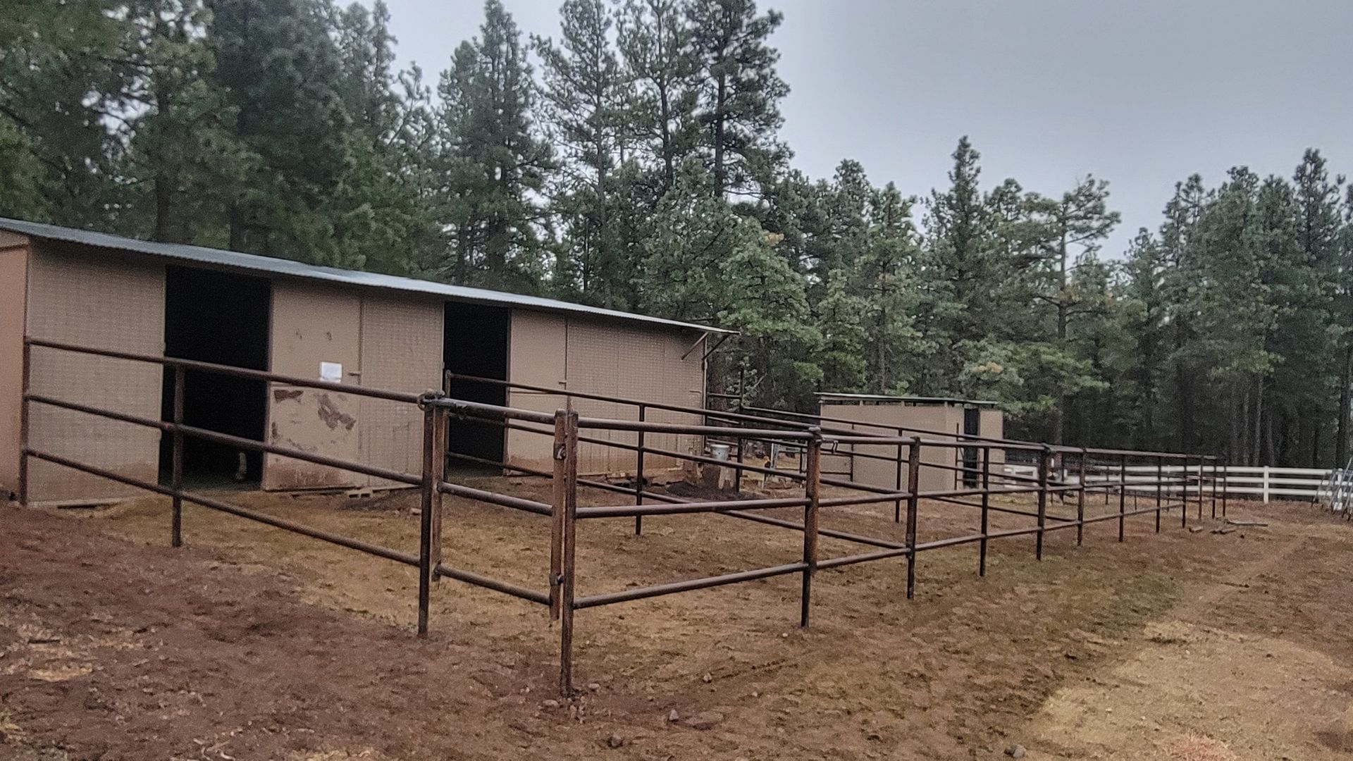 Metal ranch gate with horizontal wires beside a dirt road and trees in a wooded area
