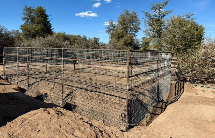 Wire livestock pen on bare dirt in a rural outdoor area, with trees in the background