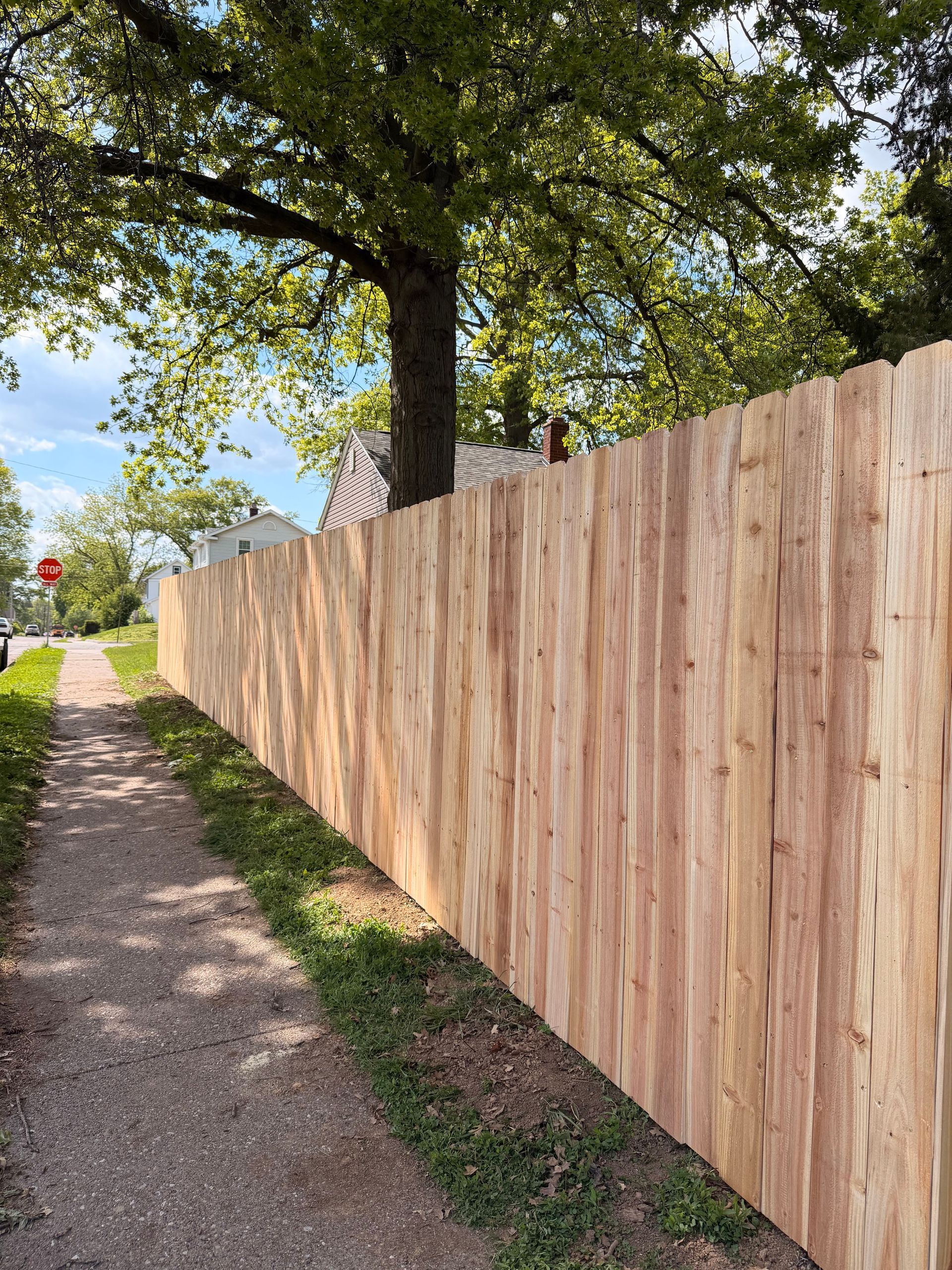 Wooden privacy fence beside a gravel path under leafy trees on a sunny day