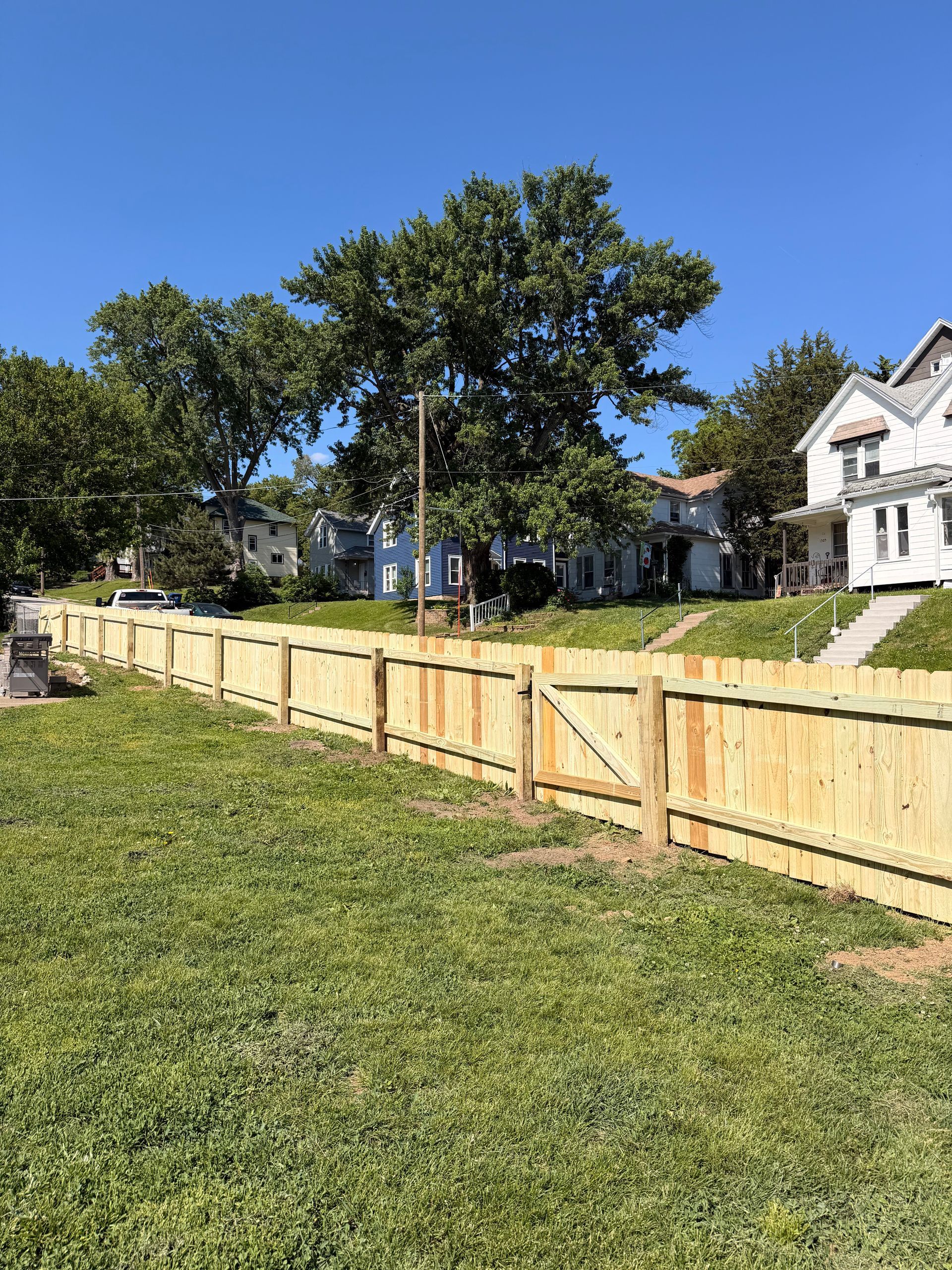 Sunny suburban yard with a long wooden fence, green grass, trees, and houses under a blue sky