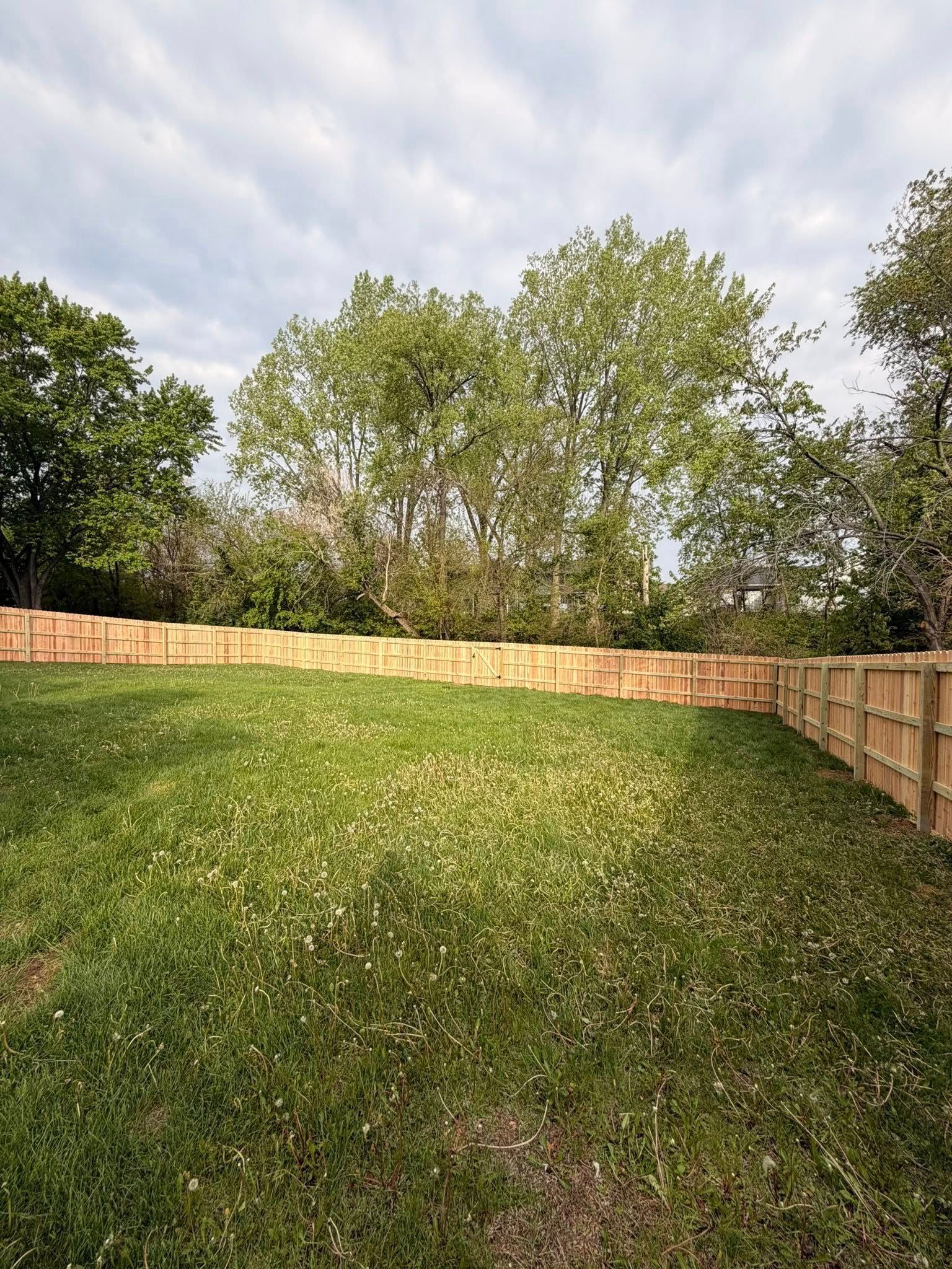Grassy backyard with wooden fence and trees under a partly cloudy sky