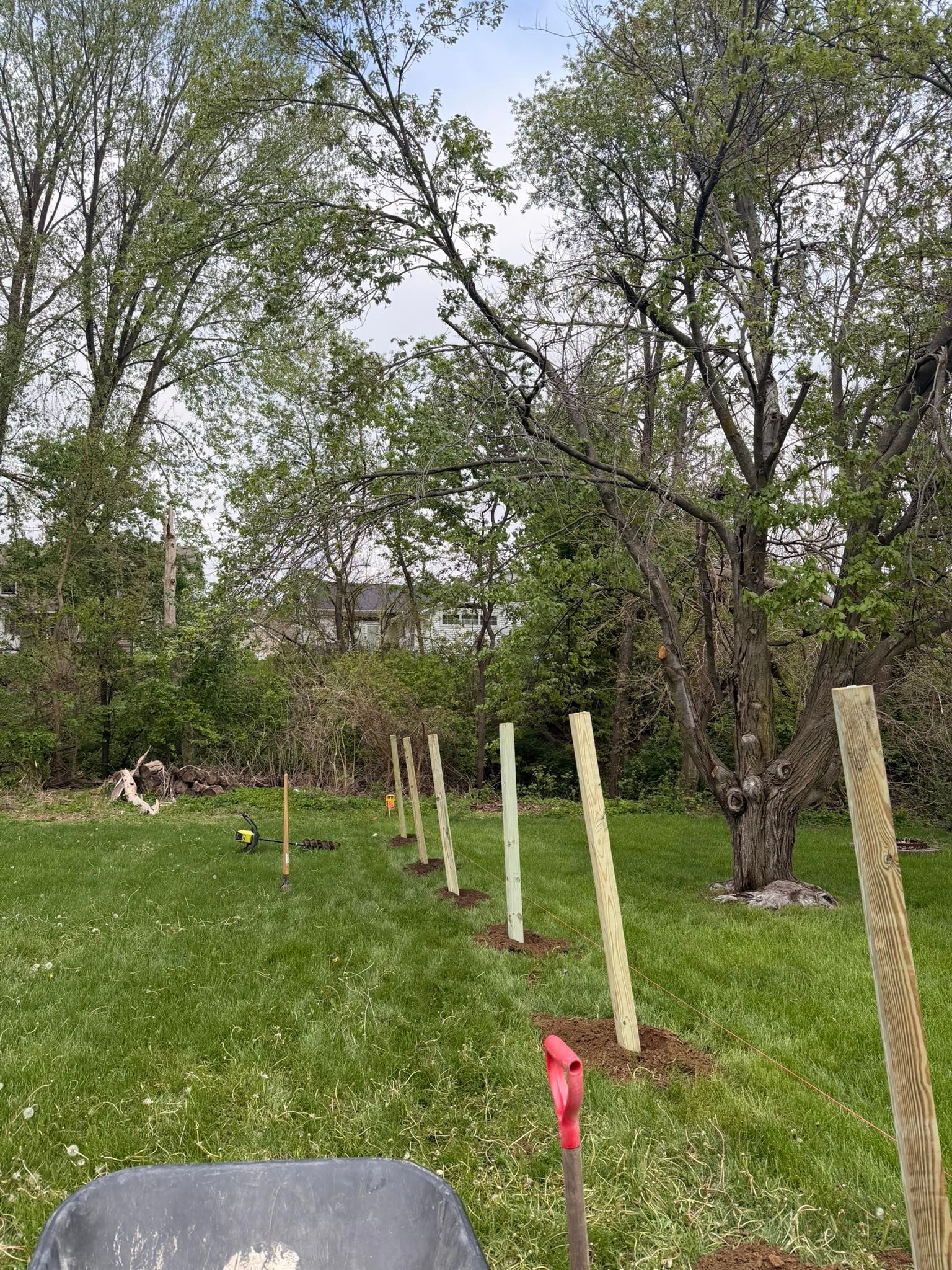 Rural yard with a grassy lawn, young trees, and a row of white fence posts under cloudy skies