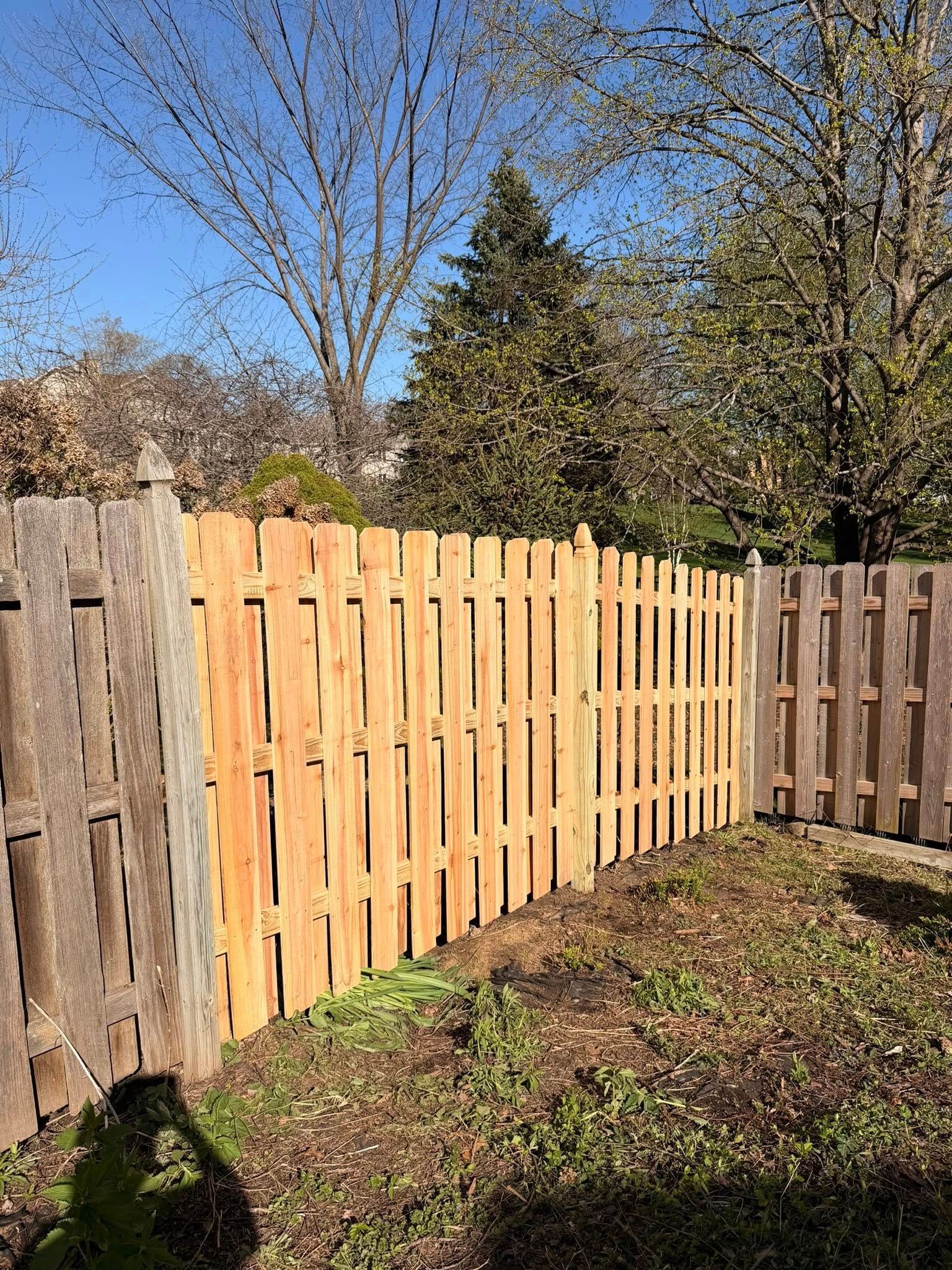 Wooden fence with a new light-colored section in a sunny backyard, trees and grass behind it