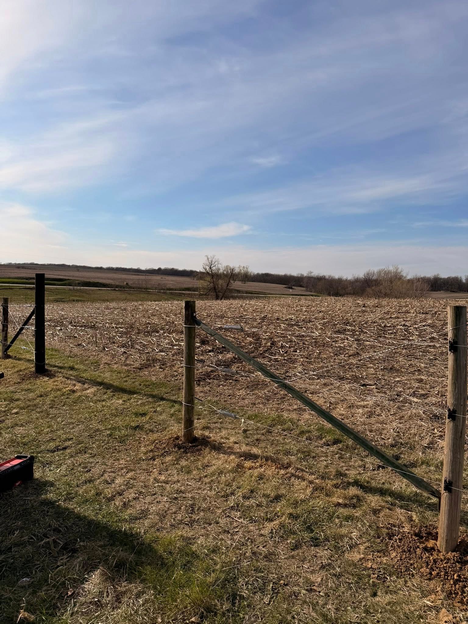 Rural field with a wire fence, bare trees, and a blue sky with thin clouds
