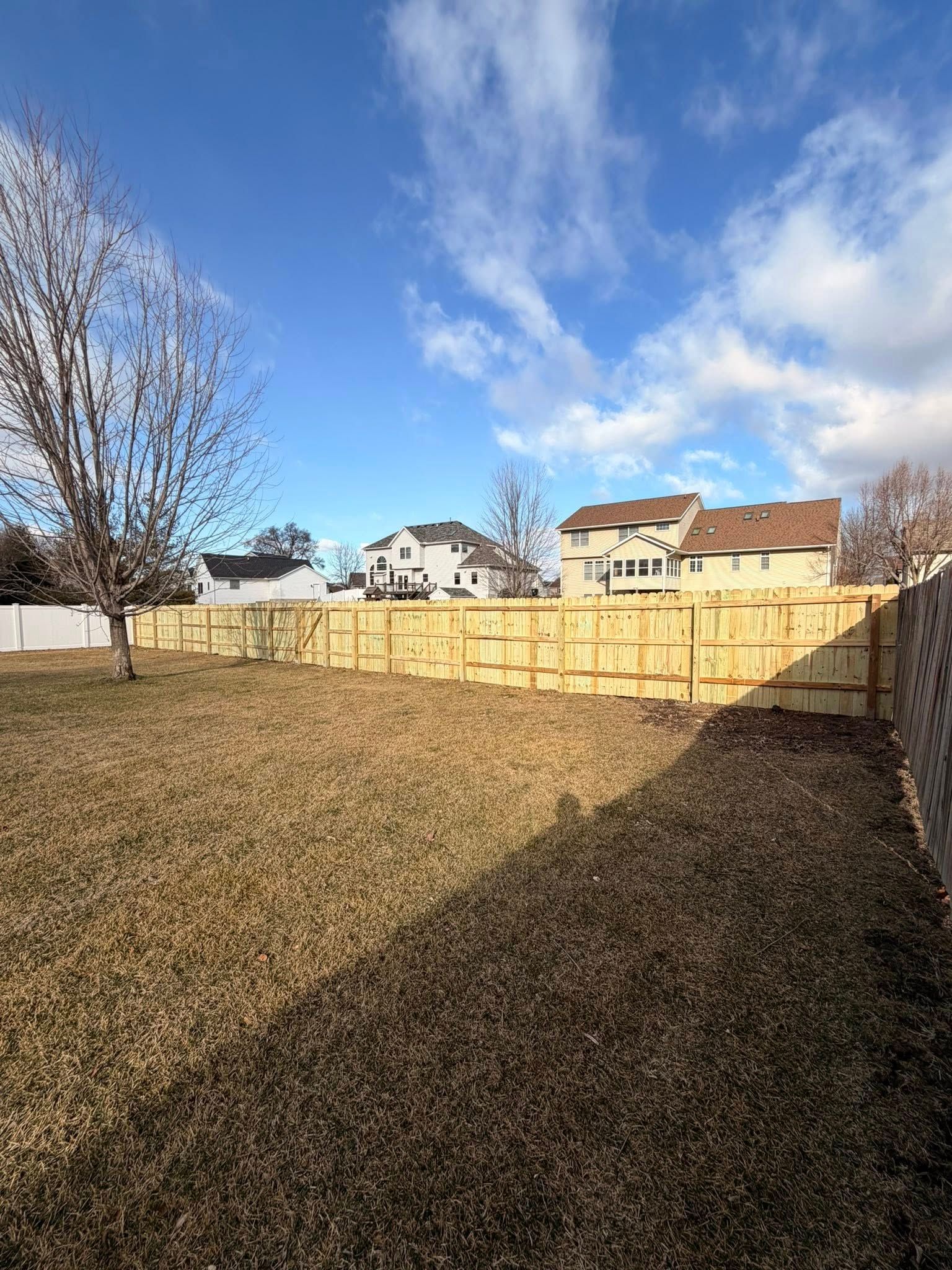 Backyard with wooden fence, leaf-covered grass, bare tree, and houses under a blue sky with clouds.