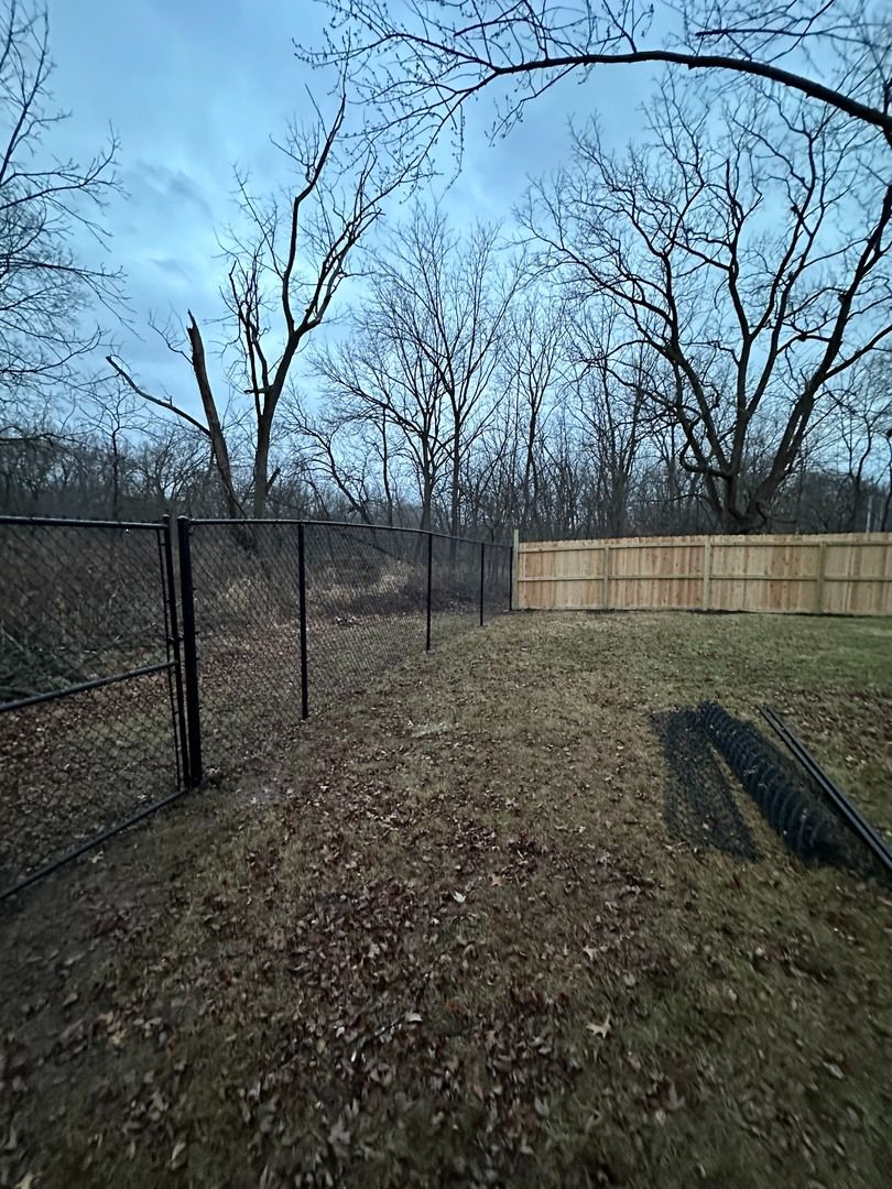 Leafless trees and a chain-link fence beside a grassy yard with a wooden privacy fence under a clear sky