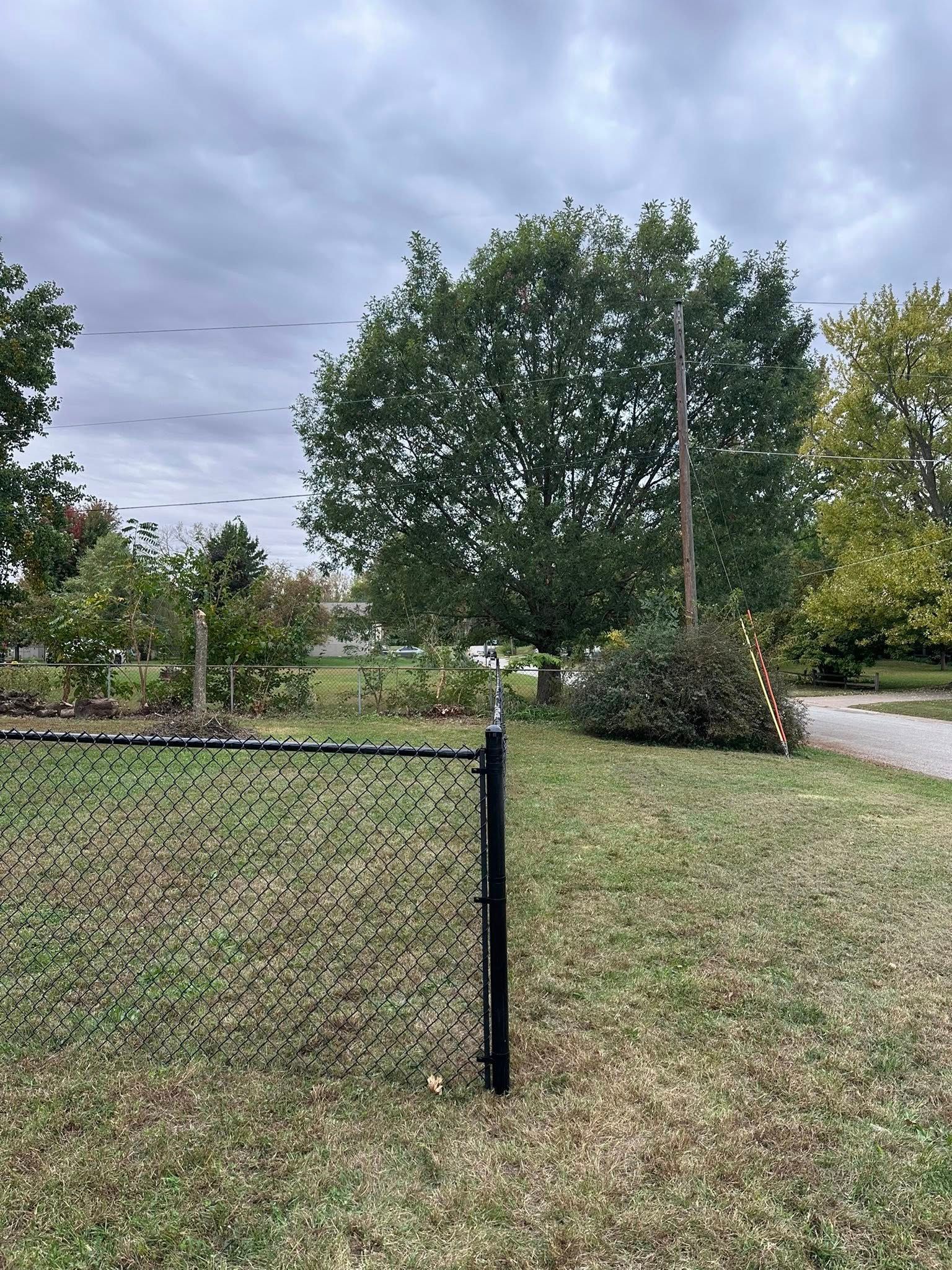 Grassy yard with a chain-link fence, trees, and a cloudy sky