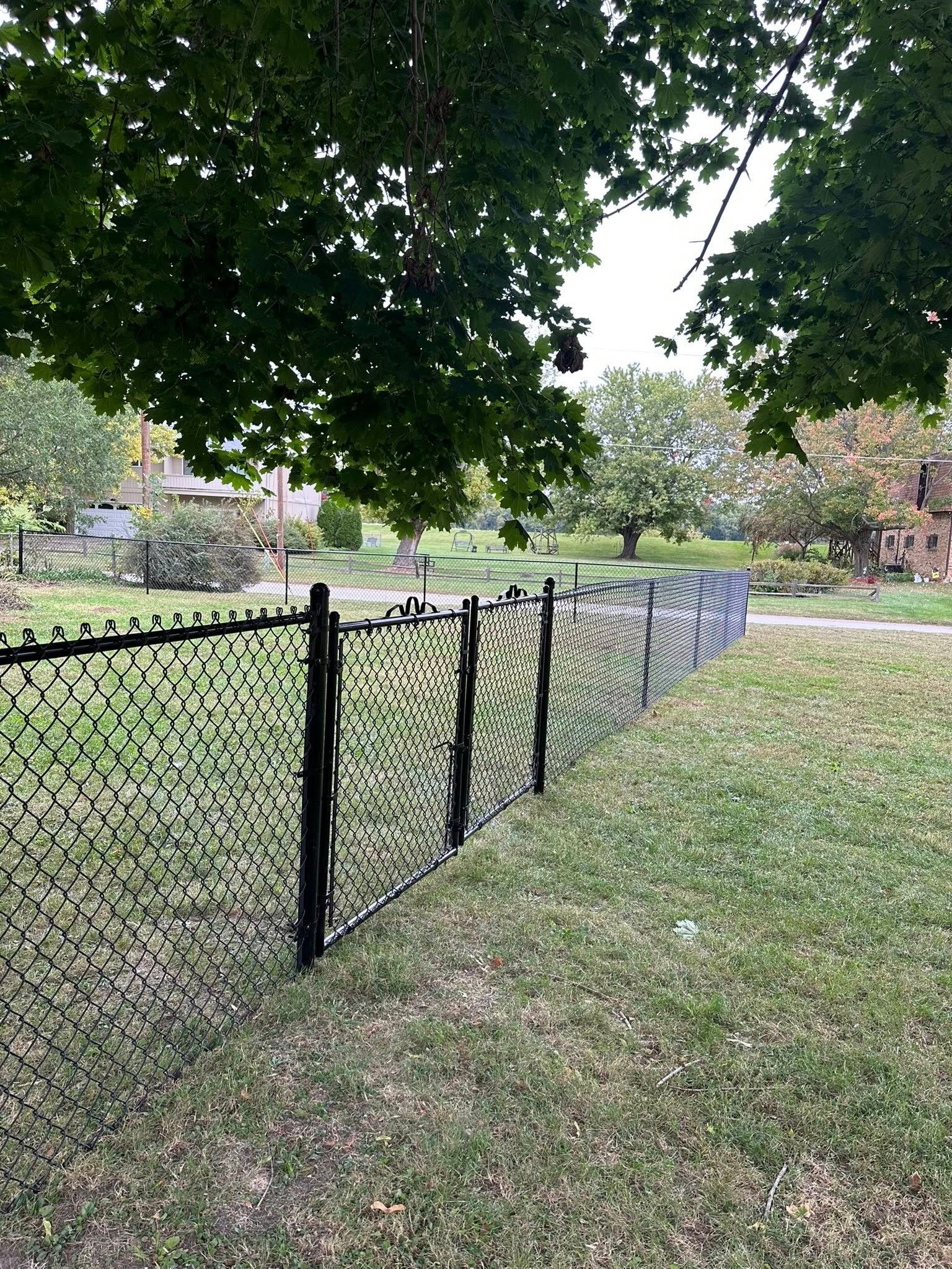 Black chain-link fence along a grassy yard beneath large leafy trees.