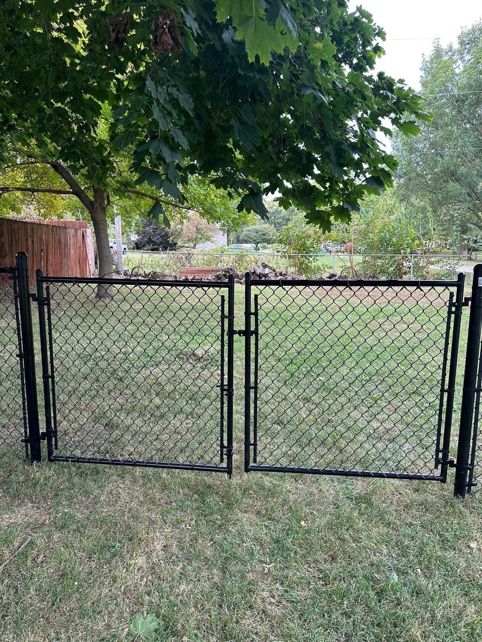 Black chain-link gate in a grassy backyard under a tree, with a wooden fence in the background