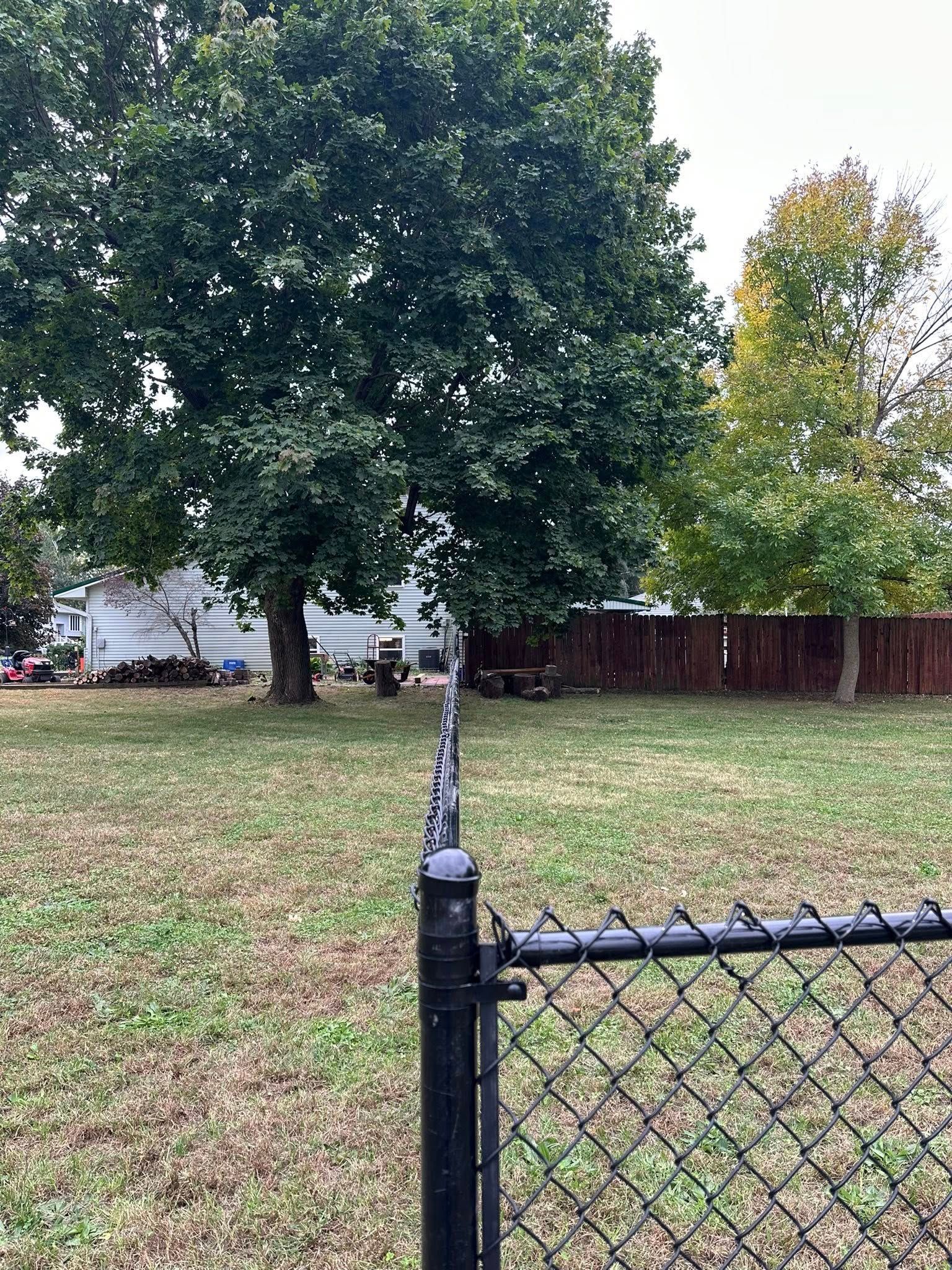 Chain-link fence in the foreground with a grassy yard and large trees, plus a wooden fence in the background.