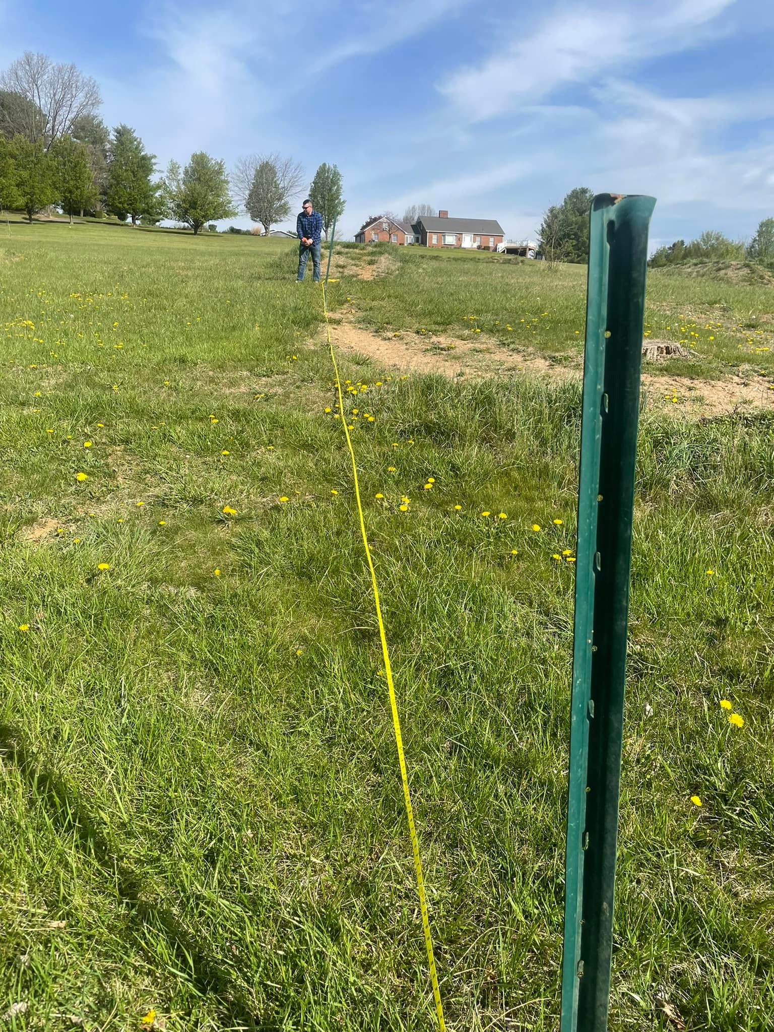 Fitzgerald Land And Tree