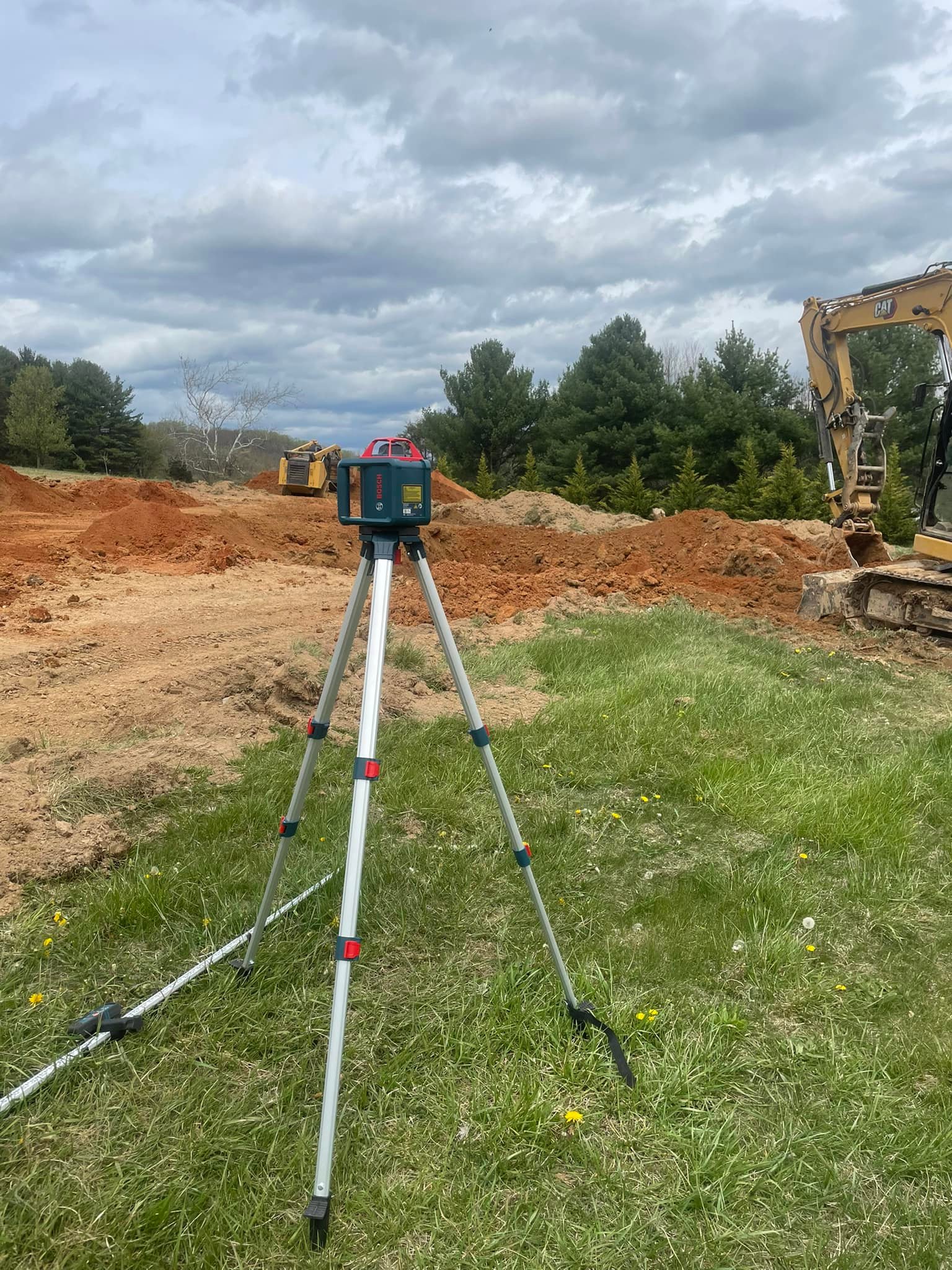 Fitzgerald Land And Tree