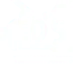 EDS Transmission Logo