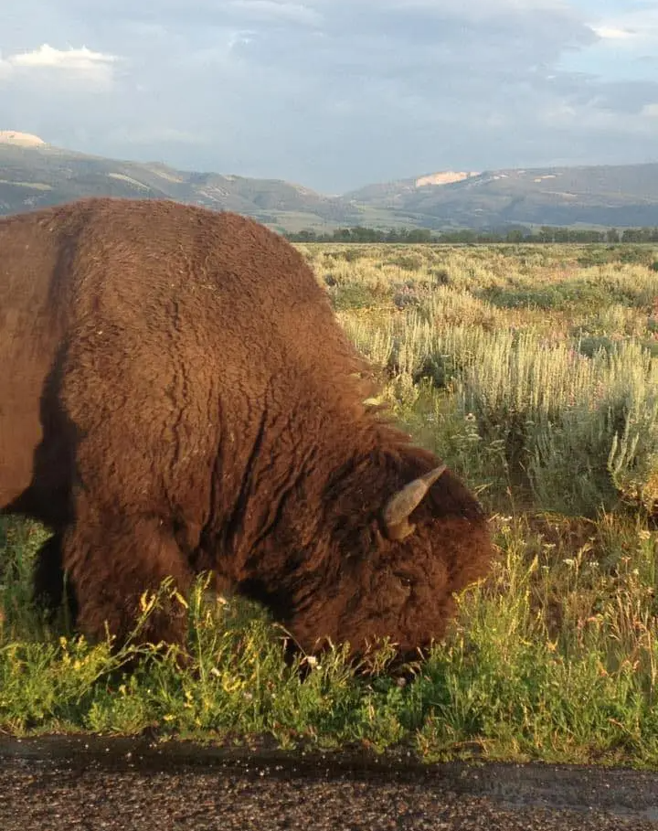 Jimmy Walker Auto & RV Sales Alexandria, LA Gallery