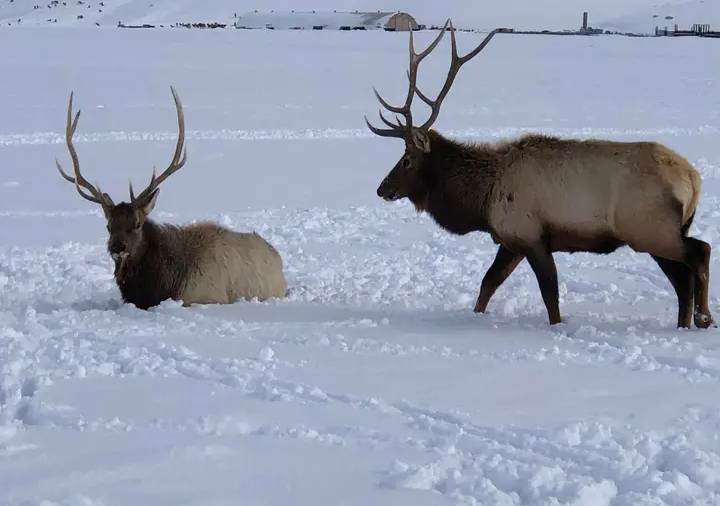 Jimmy Walker Auto & RV Sales Alexandria, LA Gallery