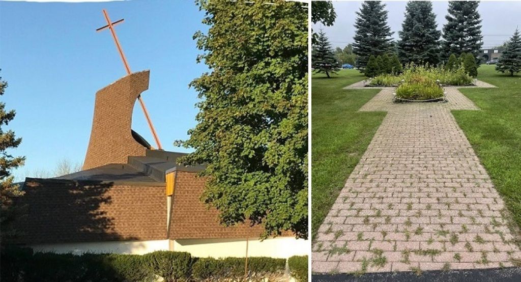 outdoor picture of garden
