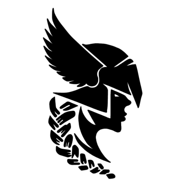 Business Insurance Colorado Springs, CO Valkyrie Insurance