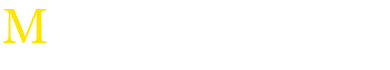 METALÚRGICA LAZAN LOGO
