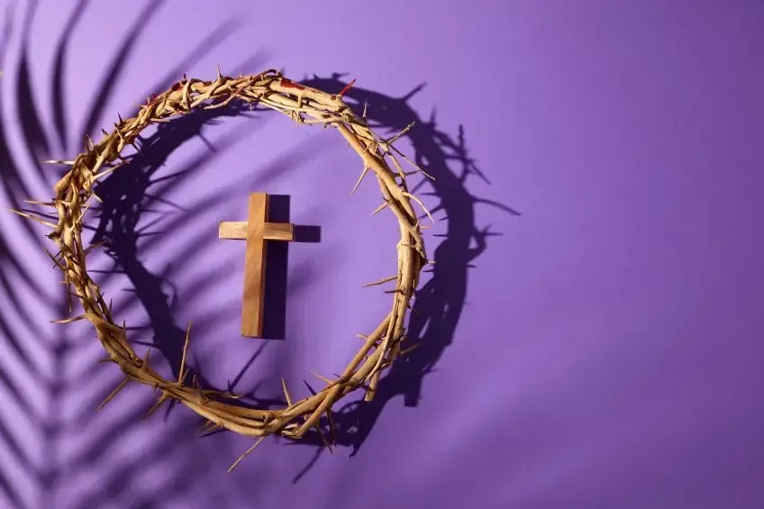 A wooden cross inside a crown of thorns on a purple background, cast with shadows from a palm leaf.