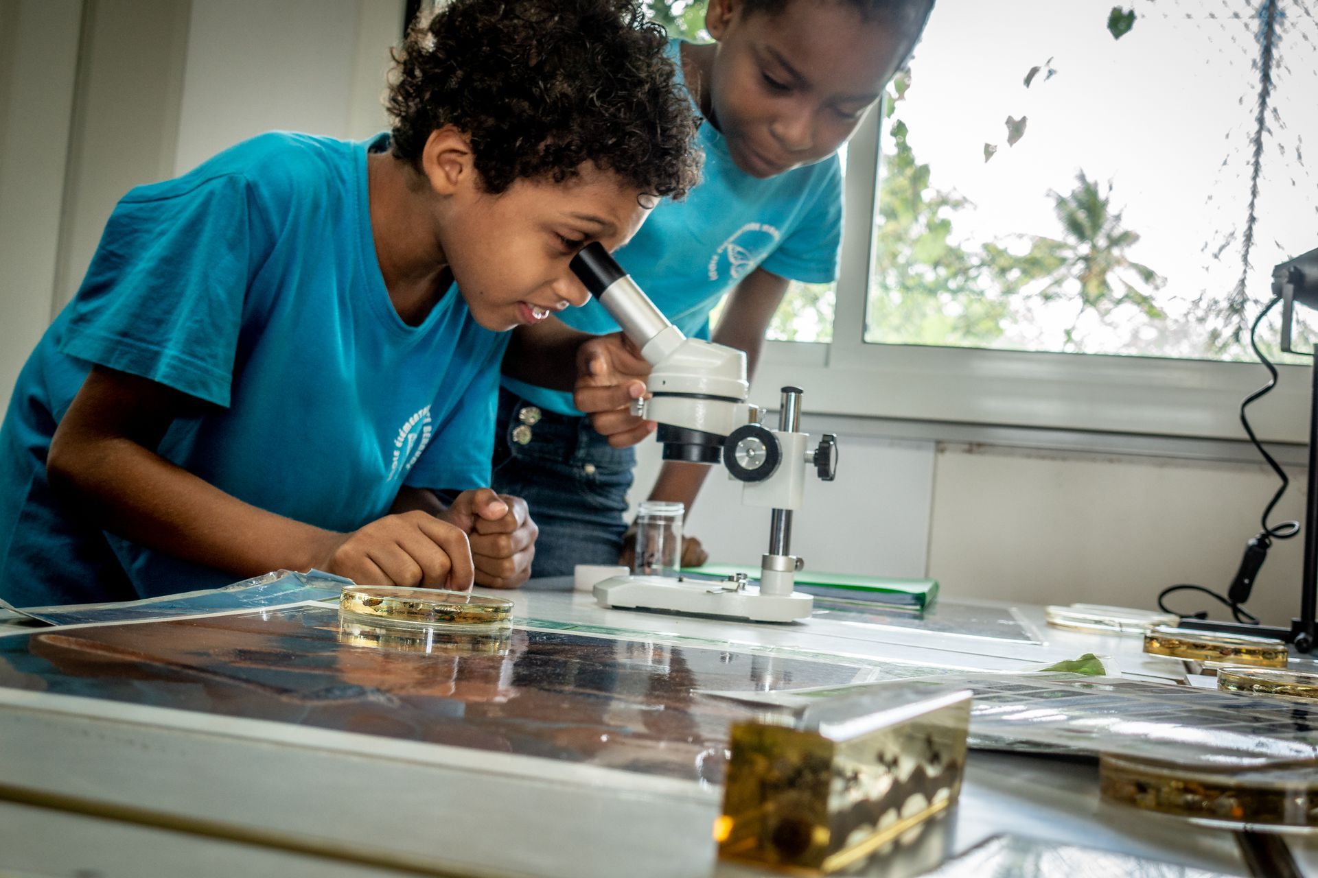 Deux enfants regardent à travers un microscope dans un laboratoire.
