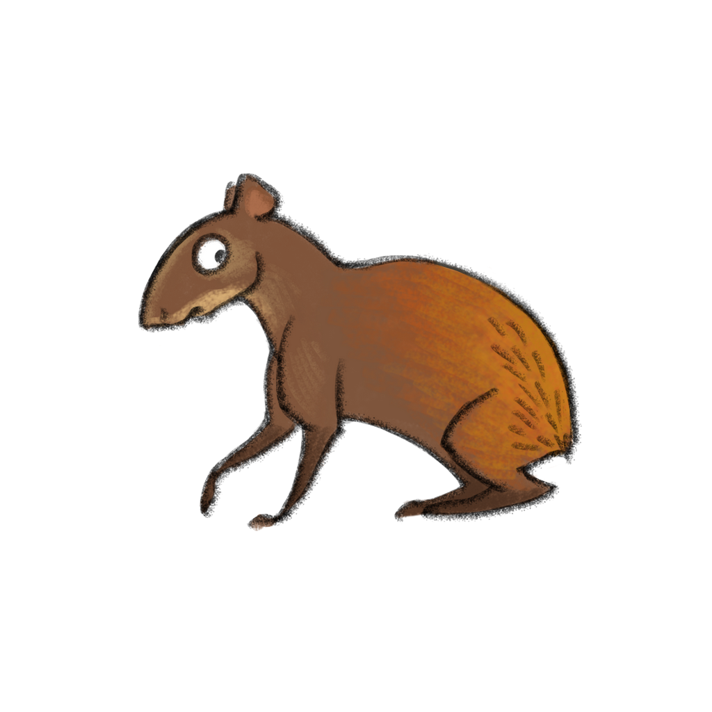 Un dessin animé d'un cochon d'Inde brun debout sur un fond blanc.
