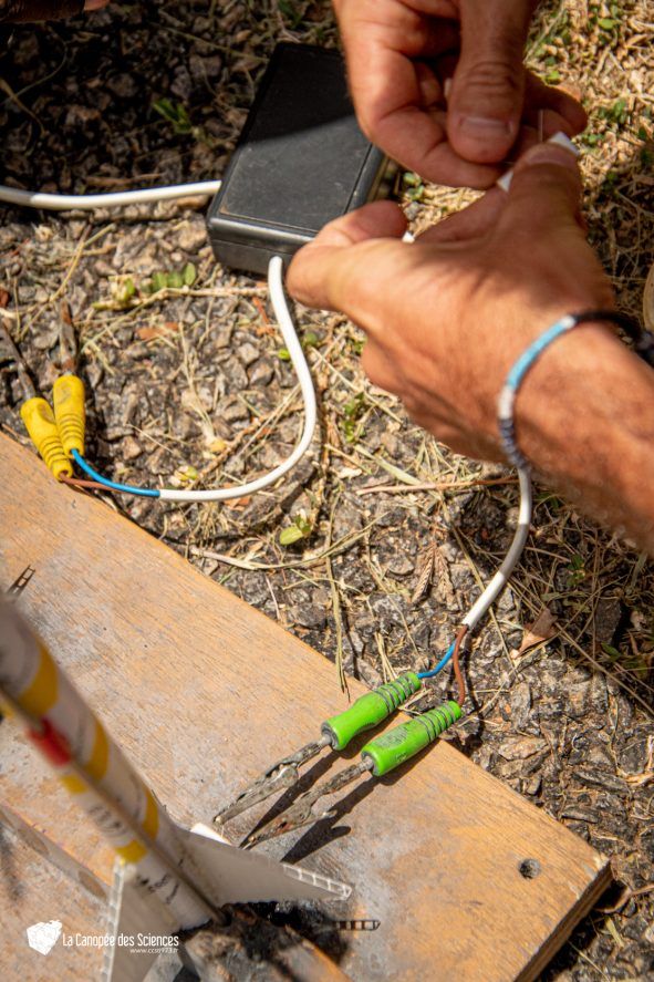Une personne tient un fil dans sa main tout en travaillant sur un morceau de bois.
