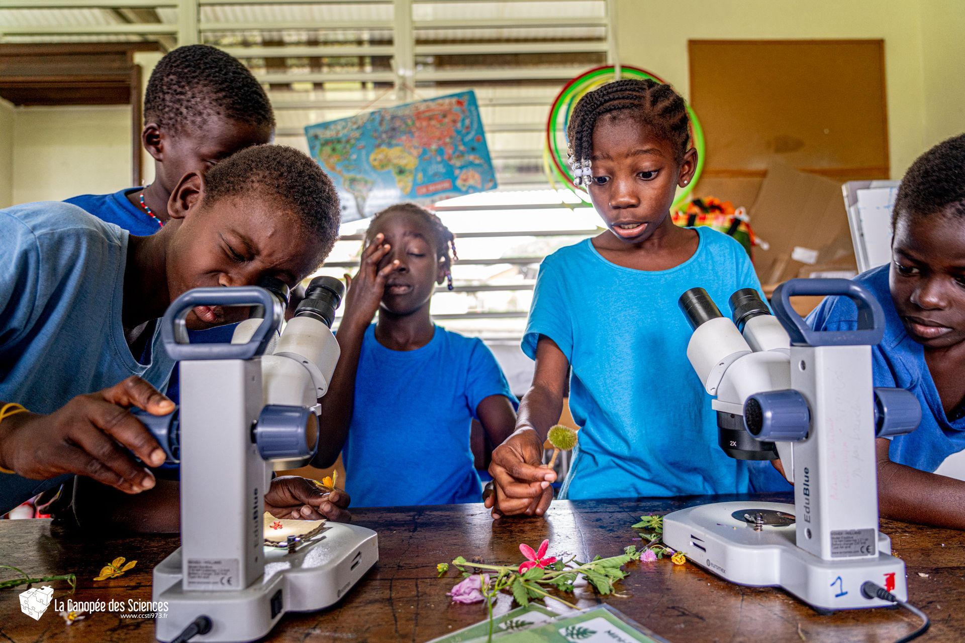 Un groupe d'enfants regardent à travers des microscopes dans une salle de classe.