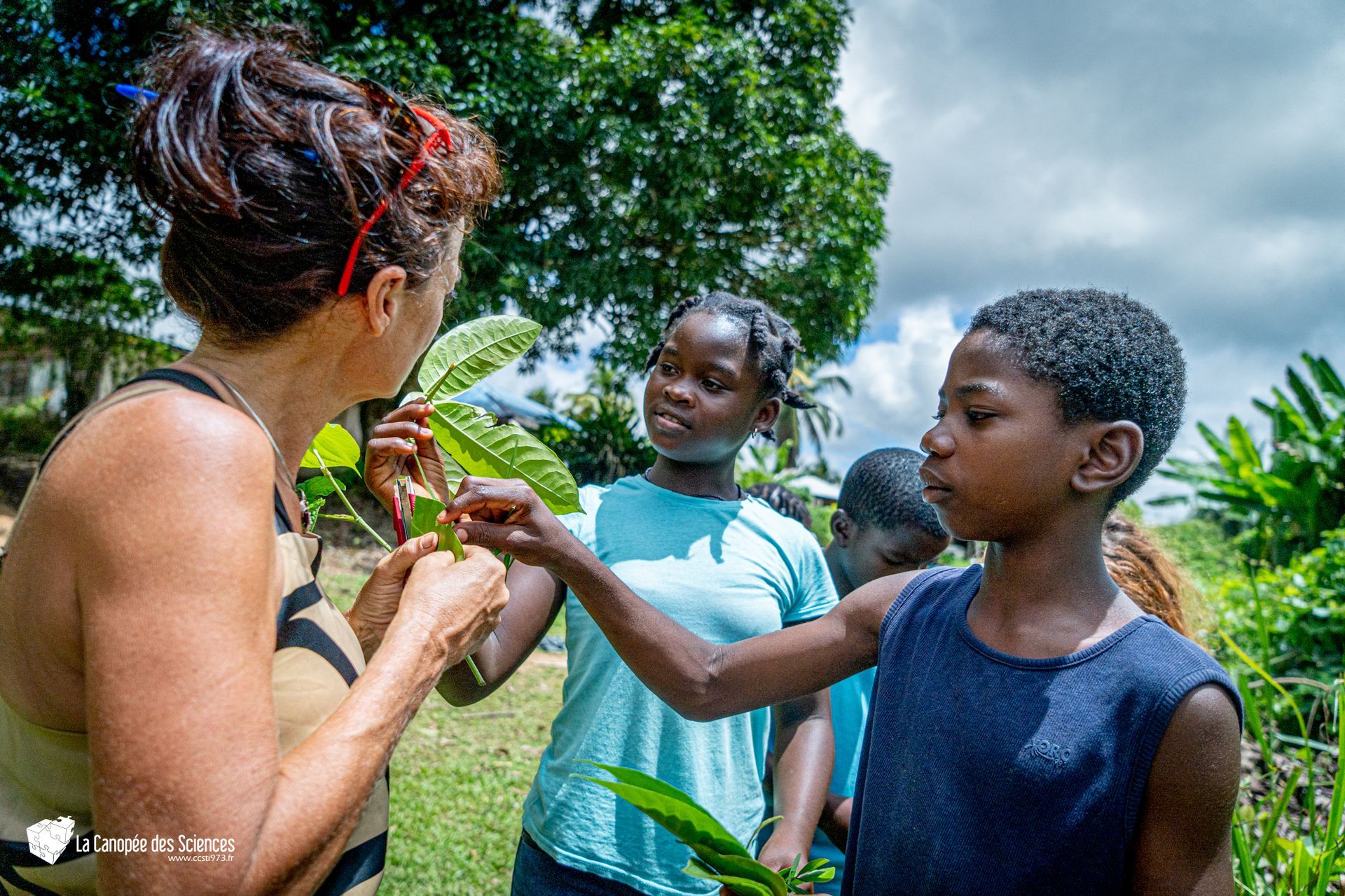 Une femme apprend à un garçon à cueillir les feuilles d'une plante.