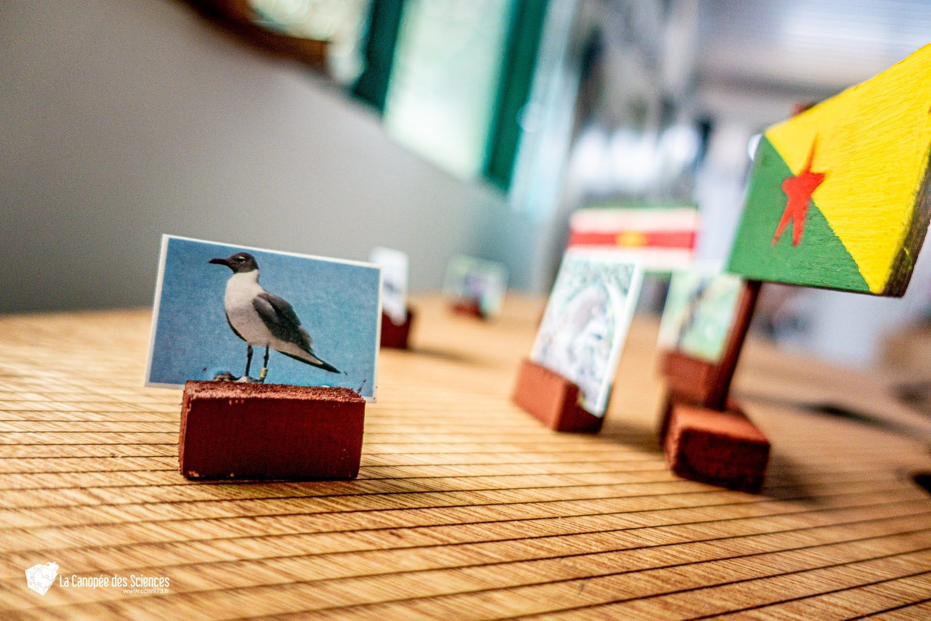 Une mouette est assise sur un morceau de papier sur une table en bois.