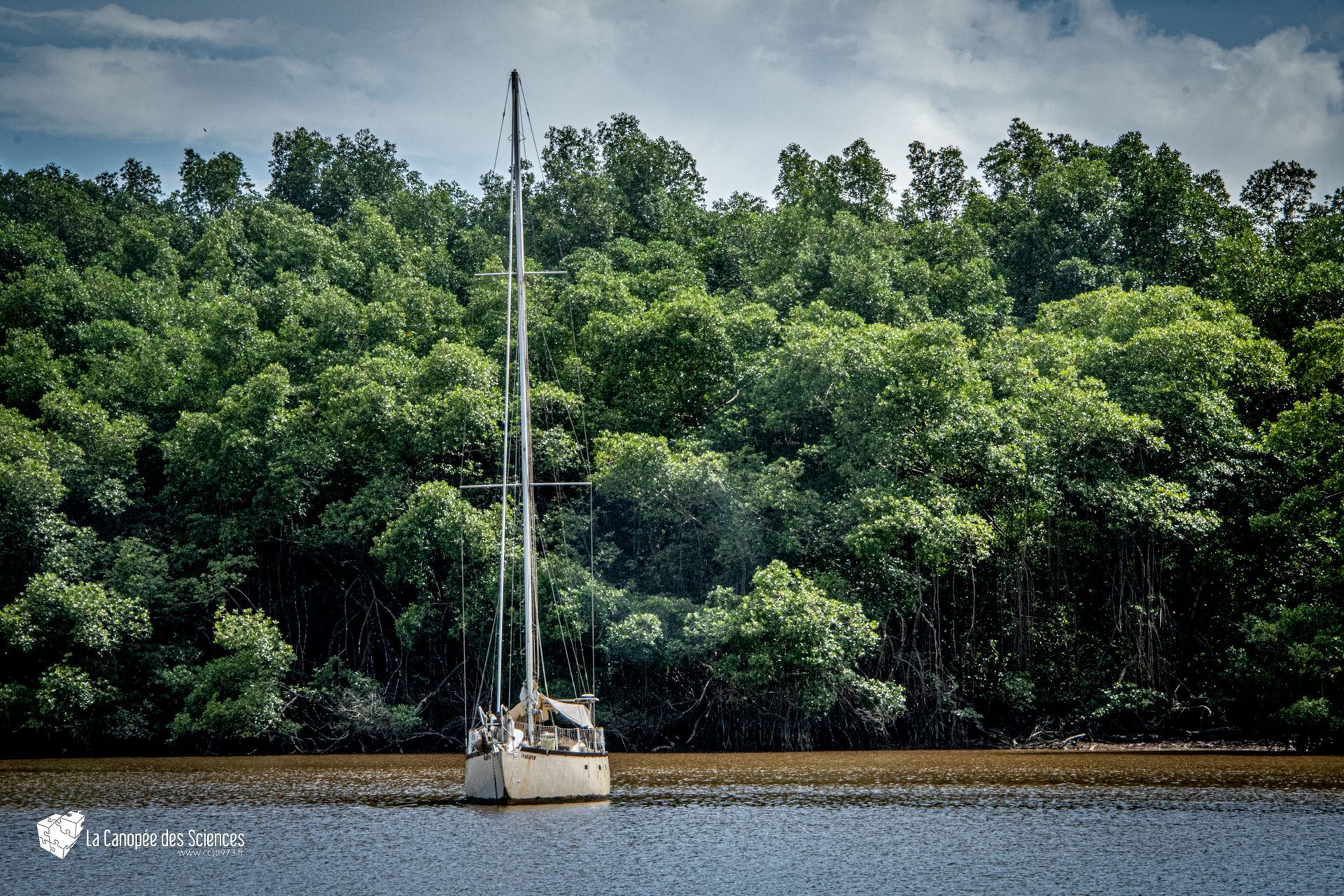 Un voilier est amarré au milieu d'un lac entouré d'arbres.