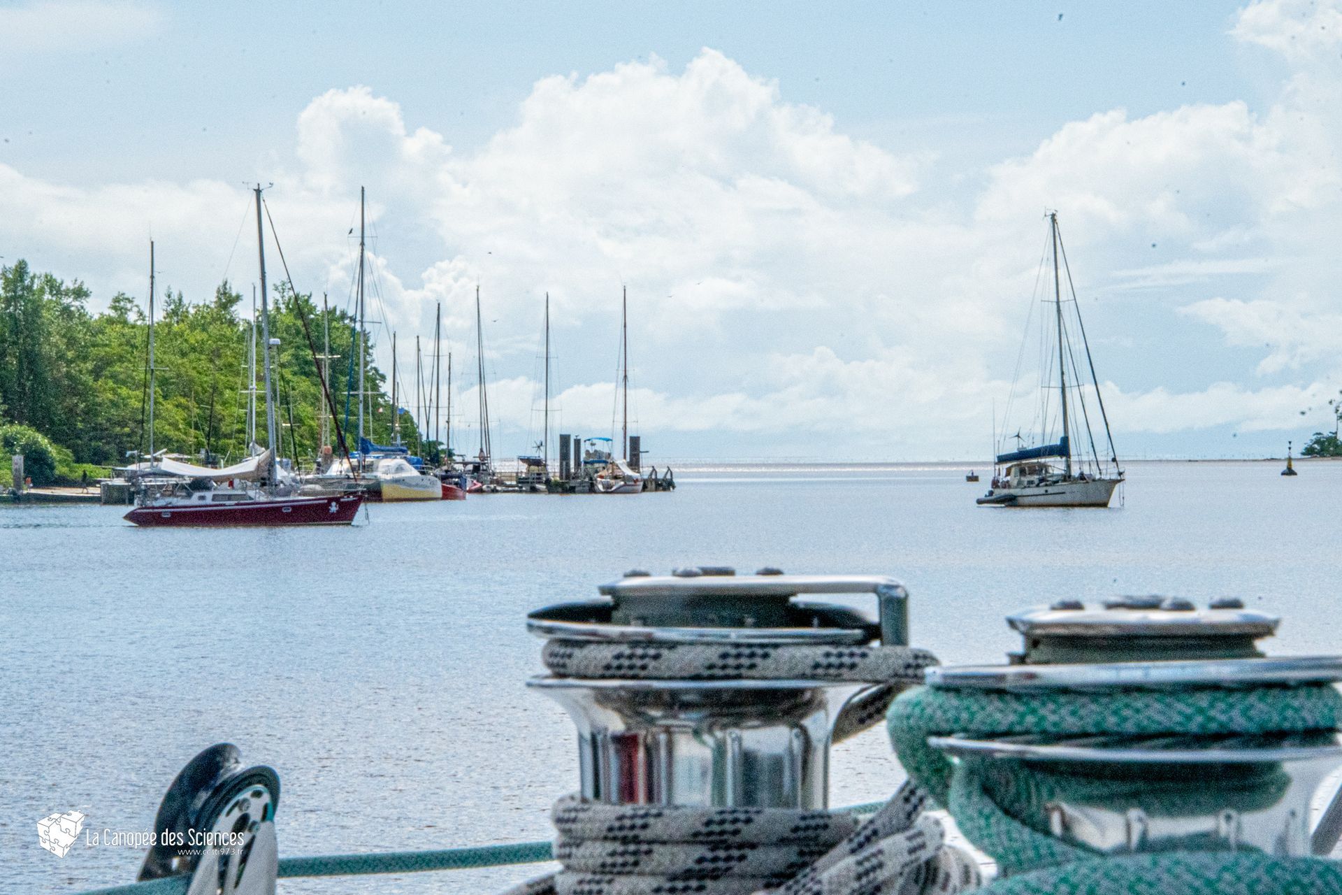 Une rangée de voiliers est amarrée dans un port.